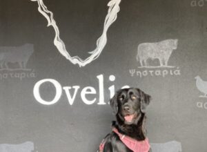 Ovelia – A Black on Black Brunch Affair
