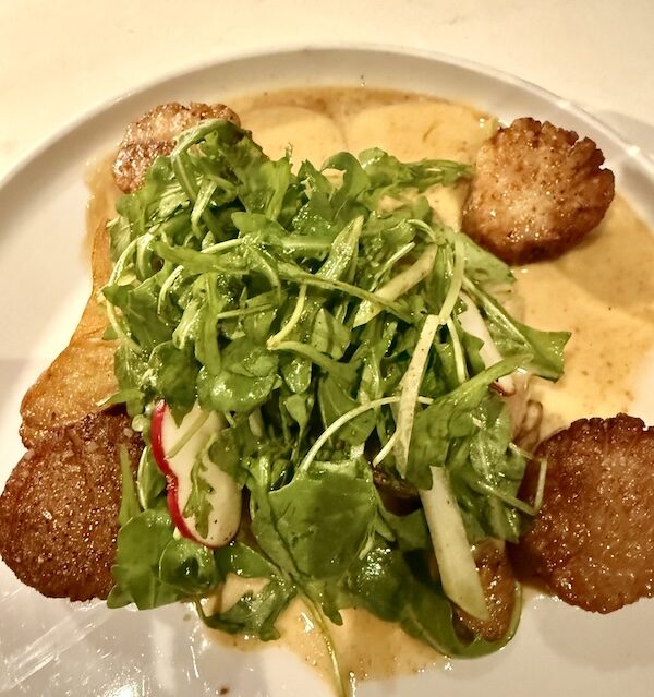 Gemma Fish + Oyster of San Marco, Jacksonville