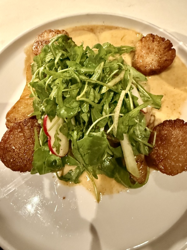 Gemma Fish + Oyster of San Marco, Jacksonville